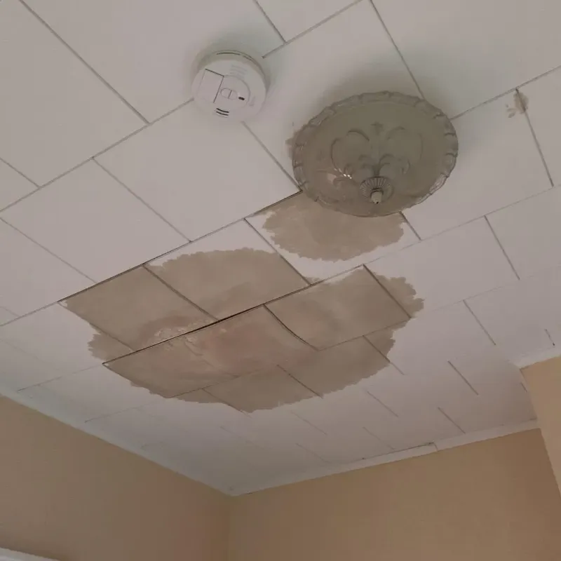 Ceiling Water Damage Repair in Shafer, MN