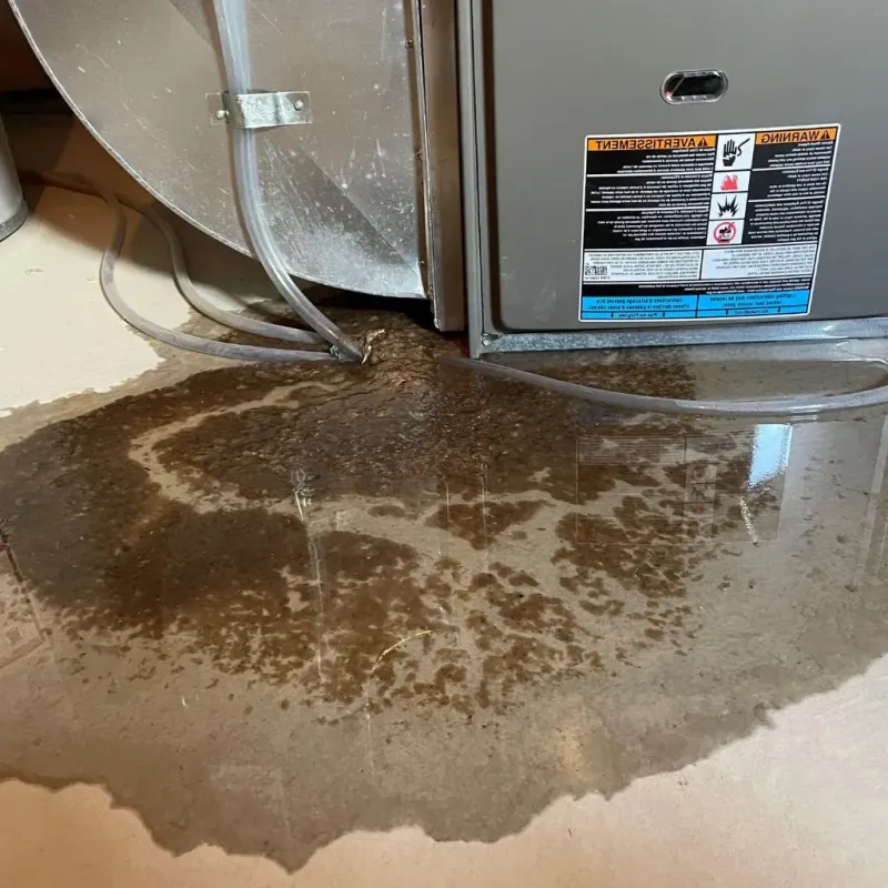 Pipe Burst and Leak Restoration in Shafer, MN