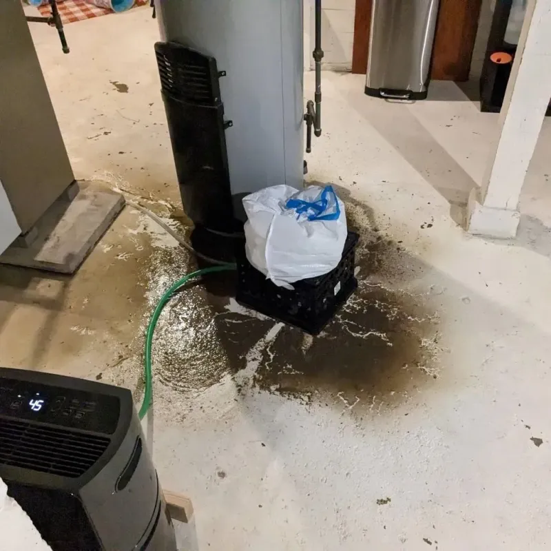 Sewage Backup Cleanup Service in Shafer, MN